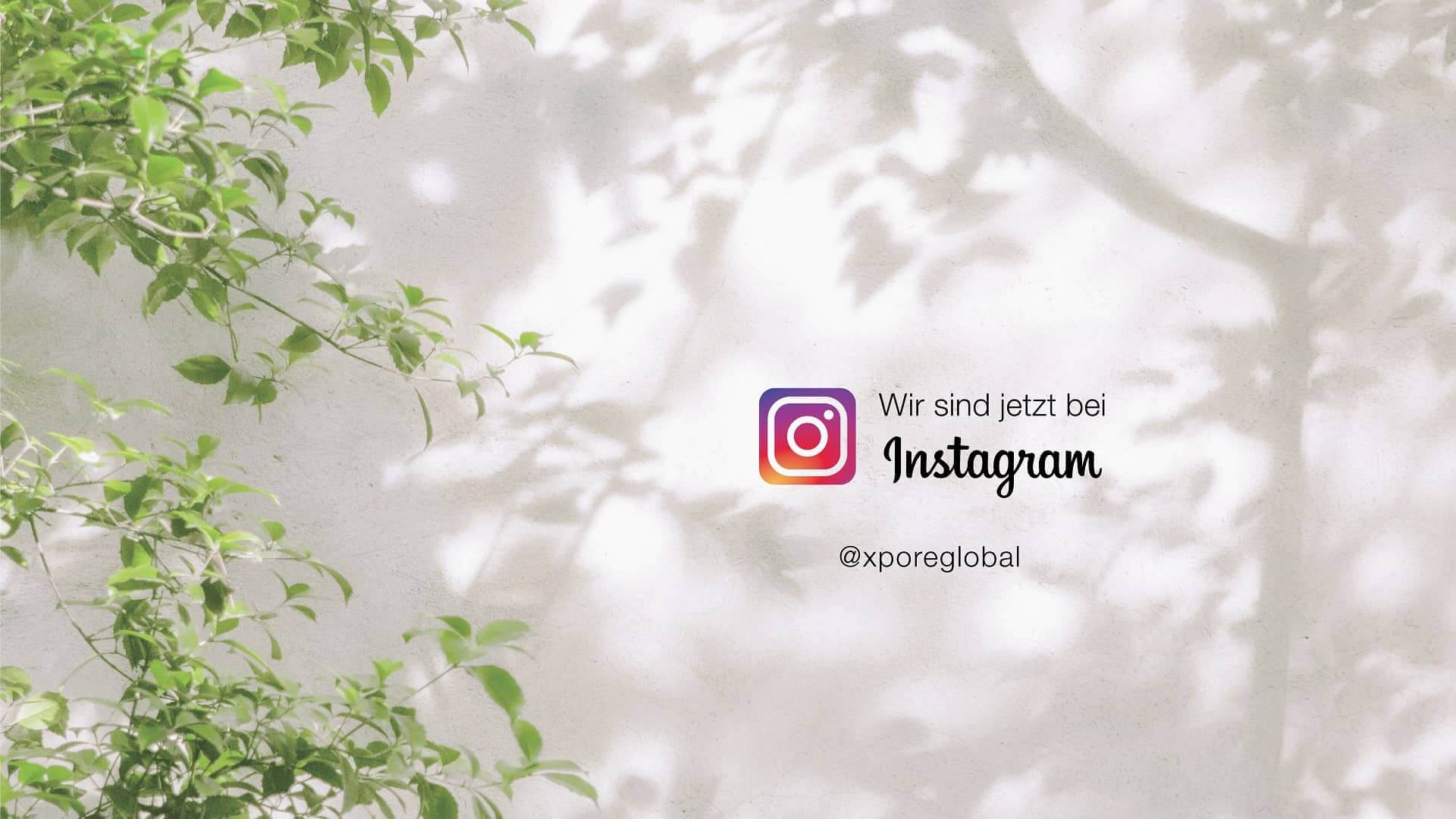 We’ve Launched Our Instagram