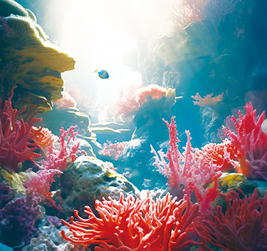 Xpore-Eco-Sustainable Waterproof-Breathable Textile Technology